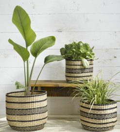 Seagrass basket planter