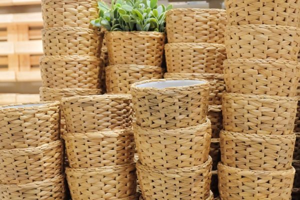 What is water hyacinth? Why water hyacinth is the best handicraft material in Vietnam? 6