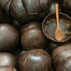 Vietnam Coconut Bowl 12